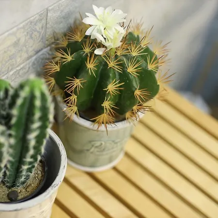Apartamento La Maisonette At Duomo Nápoles