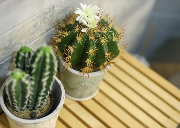 Apartament La Maisonette At Duomo Neapol